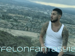 Yourfelonfantasy18