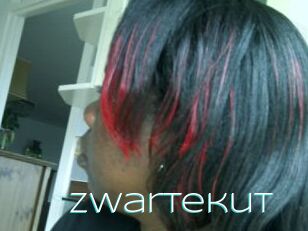Zwartekut